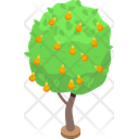 Fruit Tree Icon