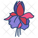 Fuchsia Flower Flowers Icon