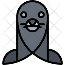 Fur Seal Icon