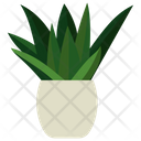 Indoor Plant Ornamental Plant Houseplant Decoration Icon