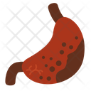 Gastric Gastric Ulcer Infection Icon