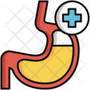 Gastroenterology Human Stomach Icon