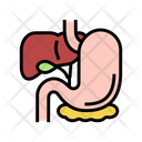 Gastrointestinal Tract Icon