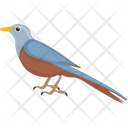 Bird Feather Creature Gauraiya Bird Icon