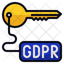 Gdpr Access Key Icon