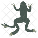Gekkonidae Reptile Geckos Icon