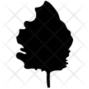 Generic Icon