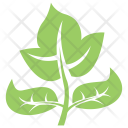 Generic Leaf Icon