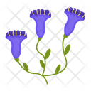 Wildflowers Flowers Plant Icon