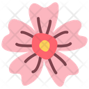 Geranium  Icon