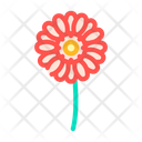 Gerbera Flower Icon