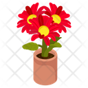 Gerbera Flowers Icon