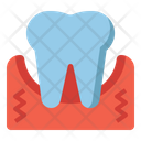 Gingival Icon