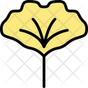 Ginkgo Leaf Icon