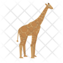 Giraffe Animal Zoo Icon