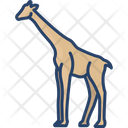 Giraffe Animal Wildlife Icon
