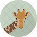 Giraffe  Icon