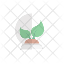 Globe Plant Icon