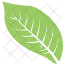 Goat Willow Plant Tree Icon