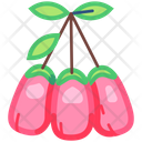 Goji  Icon