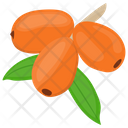 Goji Berries  Icon