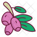 Goji Berries Icon