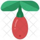 Goji berry  Icon