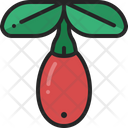 Goji Berry Fruit Icon