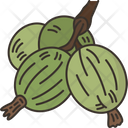 Gooseberries Icon