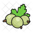 Gooseberry Icon