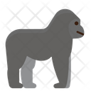 Gorila  Icon