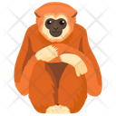 Gorilla Monkey Zoo Icon