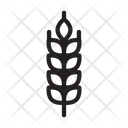 Grain  Icon