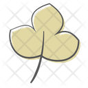 Grape Plant Nature Icon