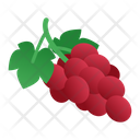 Grape Friut Food Icon