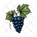 Grape  Icon