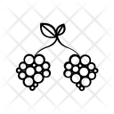 Grape Icon