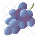 Grape Berry Fruit Icon