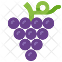 Grape Wine Fruit Icon