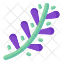 Grape Hyacinth Icon