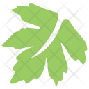 Grape Leaf  Icon