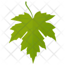 Grape Leaf Icon