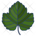 Grape Leaf  Icon