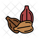 Grape Seed  Icon