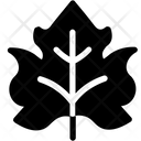 Grape Vine  Icon