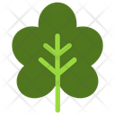 Grape Vine  Icon