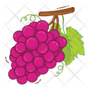 Grapes Fruit Fresh Icon