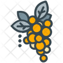 Grapes Icon