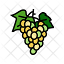 Grapes Bunch Grapes Bunch Icon