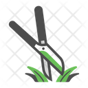 Grass Scissors Cut Icon